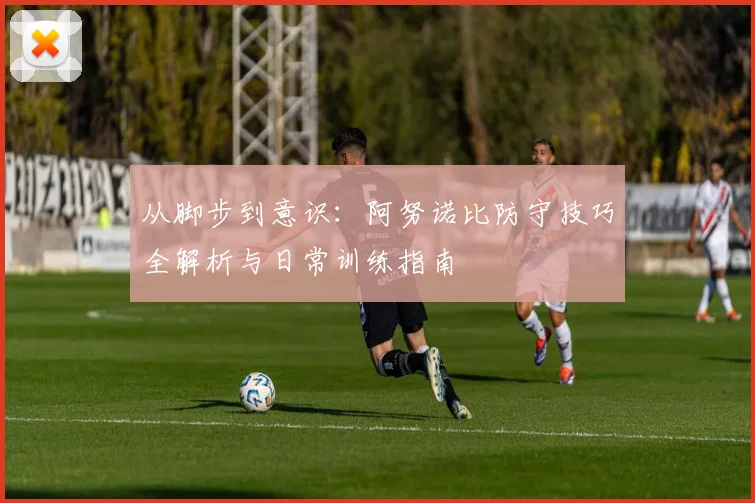 从脚步到意识：阿努诺比防守技巧全解析与日常训练指南