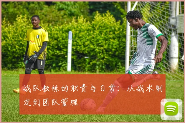 战队教练的职责与日常：从战术制定到团队管理