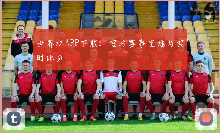 世界杯APP下载：官方赛事直播与实时比分