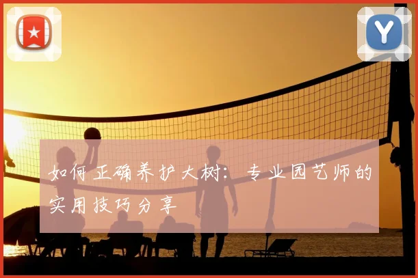 如何正确养护大树：专业园艺师的实用技巧分享