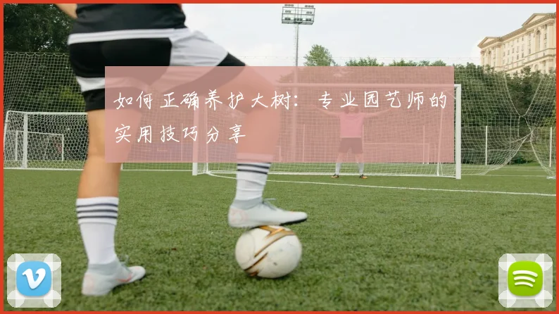 如何正确养护大树：专业园艺师的实用技巧分享