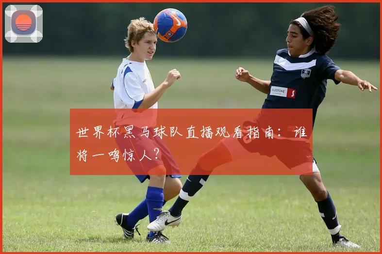 世界杯黑马球队直播观看指南：谁将一鸣惊人？